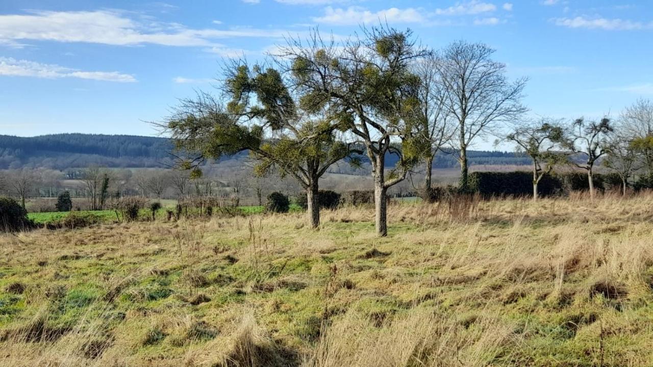 Gite Cottage Chaleureux En Pleine Campagne Vue Sur Les Monts Et Forets Et Le Chateau De Carrouges Eksteriør bilde