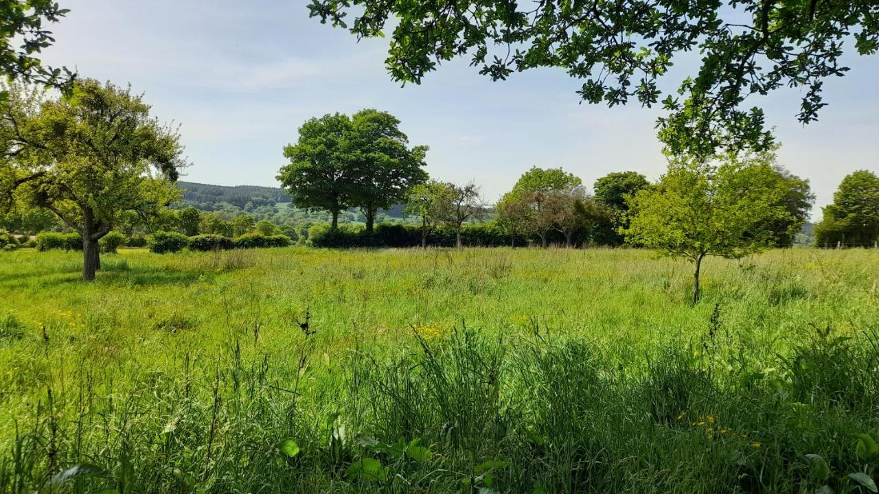 Gite Cottage Chaleureux En Pleine Campagne Vue Sur Les Monts Et Forets Et Le Chateau De Carrouges Eksteriør bilde